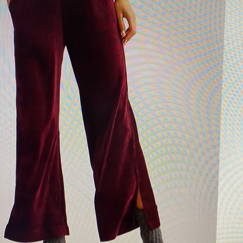 Daily Practice Anthropologie Spectacular Burgundy Velour Pants party Soft & Cozy